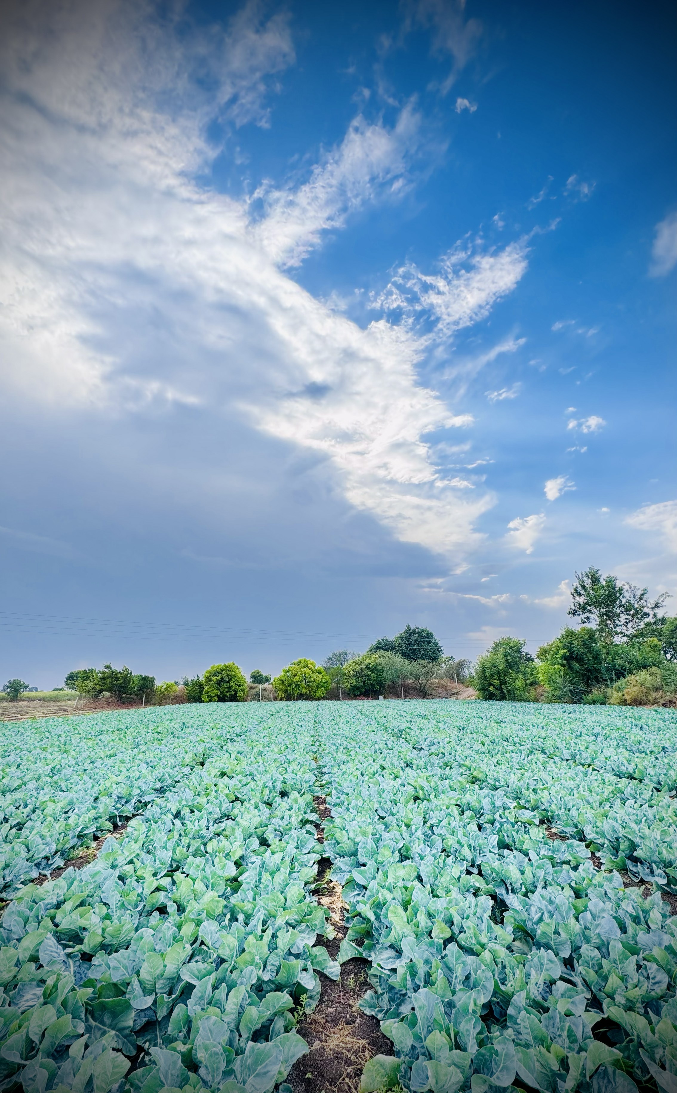 Modern agriculture technology in a field