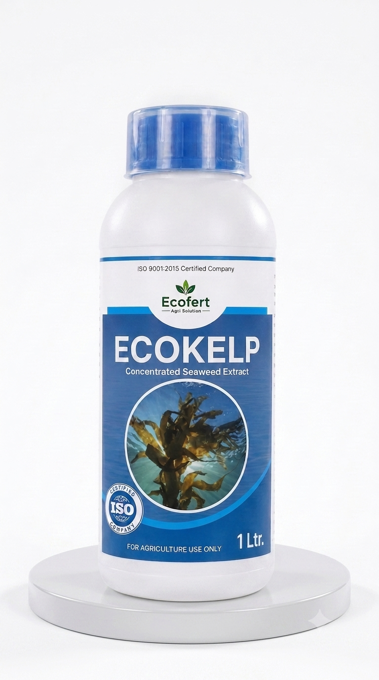 Ecokelp bottle